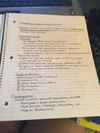 chapter 6 notes 