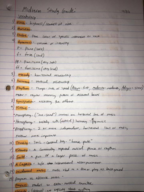 Music Literature Study Guide - Midterm