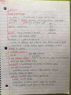 Week 2 Notes