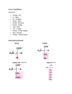 Biology 1081 Week 7 Lecture Notes