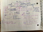 Bio Week 6 Notes