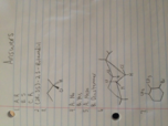 Midterm 2 Study Guide