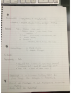 Biol002, week 2 notes