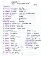 Spanish III - Capitulo 13 Vocabulary and No Fault "Se" Construction
