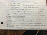 Cellular Structure 