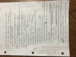 Study Guide for DNA Replication