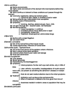 Study guide for Exam 2 Microbiology