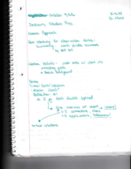 Week 5 Notes