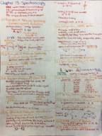 CHEM 252 Exam 2 Study Guide