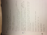 BSLW235 Notes Week 2