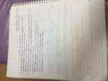 Phrases with Si and Le Conditionnel 