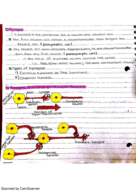 AnS 214 Week 7 Part 2 