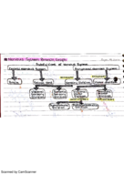 AnS 214 Week 7 Lectures Mon-Frid 