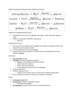 NHM 361 Carbohydrate Metabolism 10/10 and 10/12