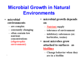 Microbiology notes week of Oct 10