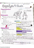 AnS 214 Week 8 Lectures Mon-Frid