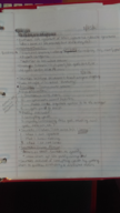 Intro to Philosophy 2010 lecture notes