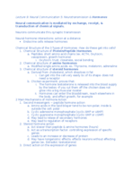 Week 6 Brain & Behavior Notes