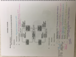 BIL 150 Week 8 Notes 