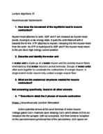 Anatomy and Physiology : Membrane potential & Neuromuscular transmission