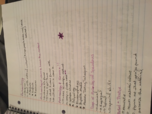 Anthropology Week 4