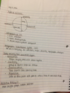 EBTM 337 Week 5 notes 