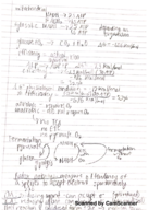 bio week 7 notes
