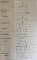 Nutritional Biochem Exam 1