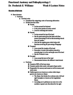 Week 8 - Anatomy and Pathophysiology I: Lecture Notes