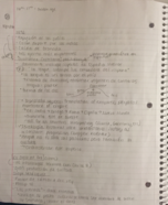 Iberian Culture and Civilization, Week 5 notes