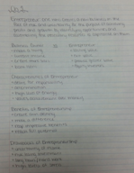 Entrepreneur Study Guide