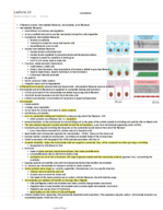 Lecture 10 notes