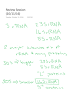 Review Session (10/11/16)