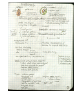 Unit 2 Notes Biol 3332