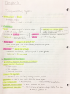 Human Anatomy & Physiology Ch. 6 Class Notes