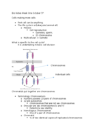 Biology 105: Notes from 10/5 and 10/10