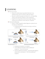 Learning 
