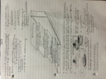 Ch 7 Cognitive Development
