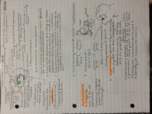 Exam 2 Study Guide