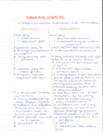week 9: main ideas about transcription 