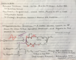Neurobio Week 4 Notes