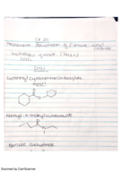 Carboxylic acids and derivatives