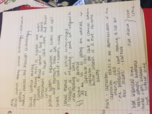 Criminology 241 notes