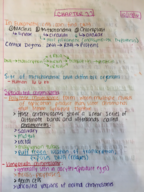 Genetics Chapter 11