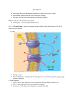 Bio: Molecules, Cells, and Physiology week 10
