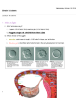 Lecture 4: part 2