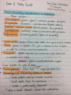 Exam 3 study guide