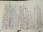 Anthro Week 3 Notes