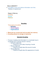 Psychology Memory Chapter 6