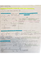Exam II Study Guide